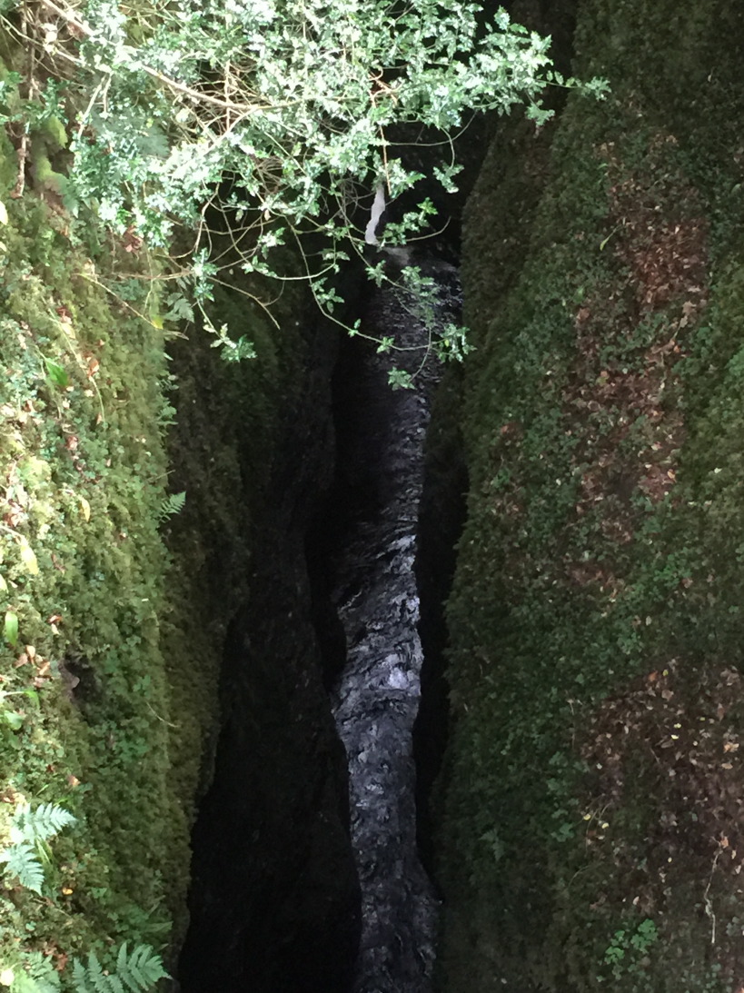 Looking down into the depths of a green gorge