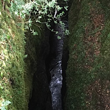 img 0016